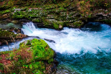 Ormandaki dağ deresi