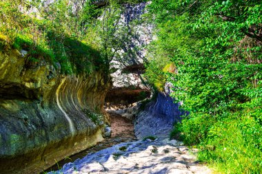 Nehirli güzel dağ manzarası