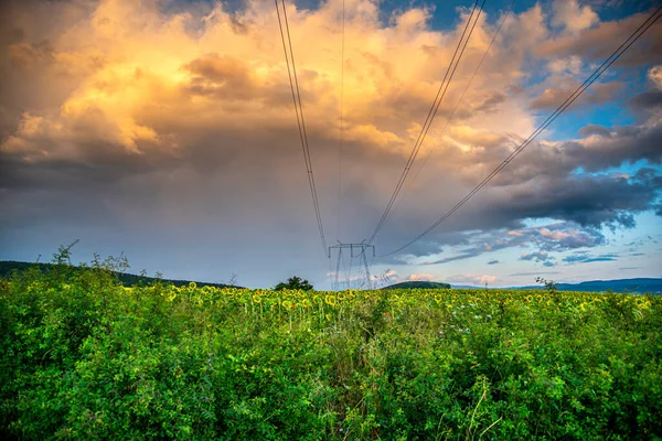 Widok Powietrza Elektrownię Latem — Zdjęcie stockowe