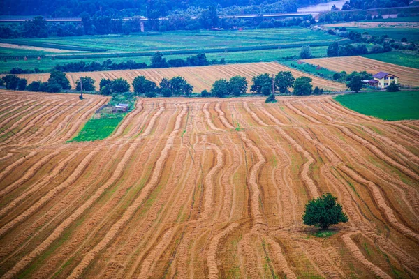 Luftaufnahme Eines Weizenfeldes Und Der Felder Italiens — Stockfoto