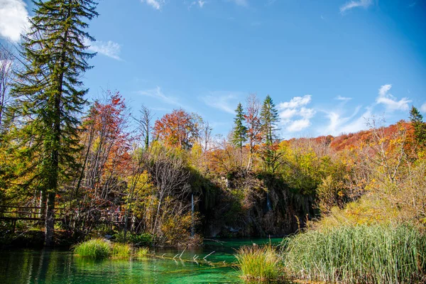 秋天的风景 有树木和湖泊 — 图库照片