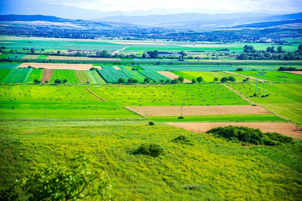 Luftaufnahme Von Grünen Feldern Und Hügeln Der Toskana Italien — Stockfoto