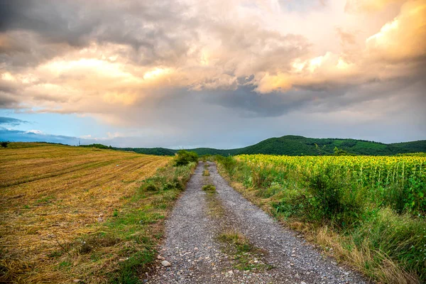 Summer Landscape Road Clouds — Stock Photo, Image