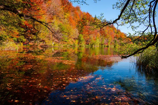 秋天的风景 有五彩缤纷的树木和水中的倒影 图库图片