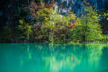 Gölü ve kayaları olan güzel tropikal bir yer.