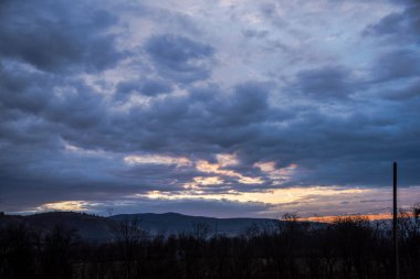Ormanda dramatik günbatımı
