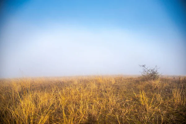 Paisaje Otoñal Con Hierba Cielo Azul — Foto de Stock