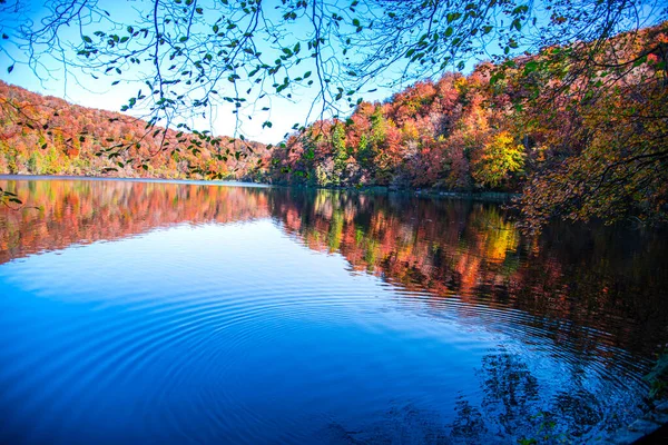 湖中倒映着秋天的风景 — 图库照片