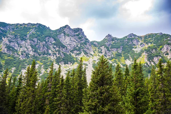 Ορεινό Τοπίο Στις Τρανσυλβανικές Άλπεις Καλοκαίρι — Φωτογραφία Αρχείου