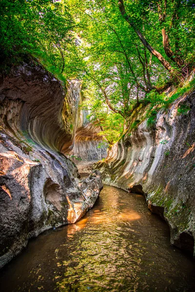 Kanyondaki dağ nehri.