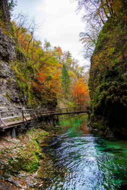 Nehir ve ormanlı sonbahar manzarası