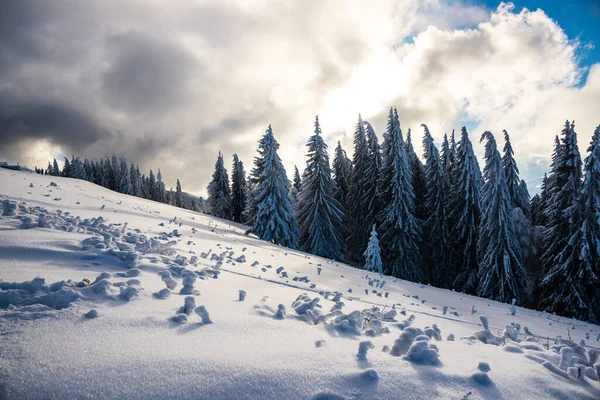 Hermoso Paisaje Montaña Invierno — Foto de Stock