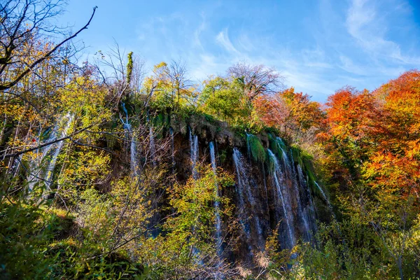 Paisaje Otoñal Con Árboles Hojas Coloridas —  Fotos de Stock