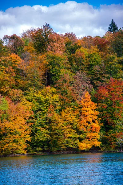 Beau Paysage Automne Avec Arbres Lac — Photo