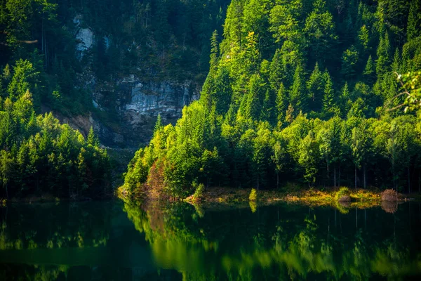 Lac Montagne Dans Forêt — Photo