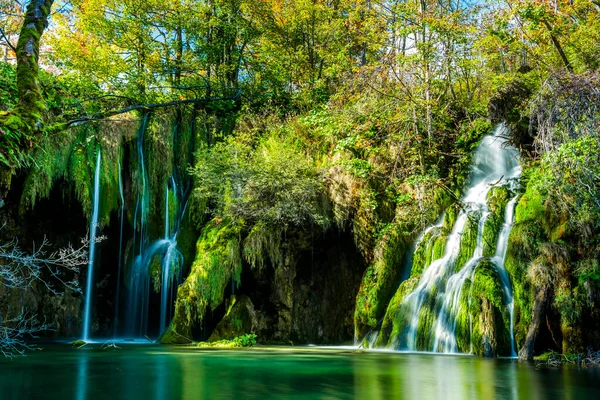 Waterval Het Bos — Stockfoto