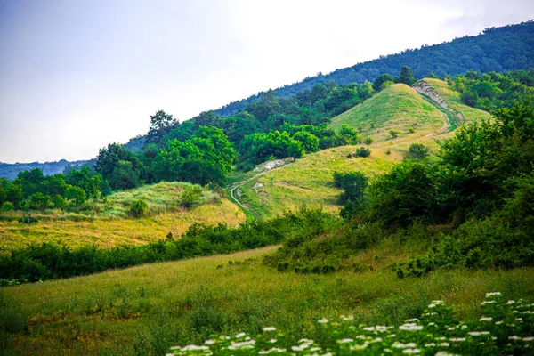 Berglandschaft Mit Grünem Gras Und Blauem Himmel — Stockfoto