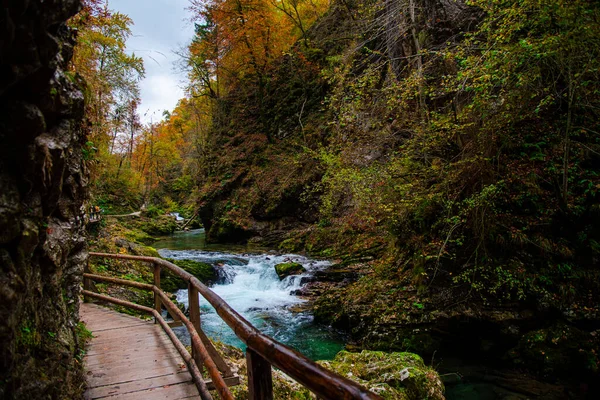 Prachtige Waterval Het Bos — Stockfoto