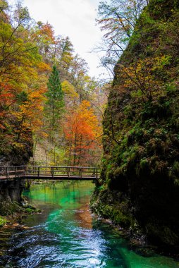 Havuzu ve köprüsü olan güzel sonbahar manzarası