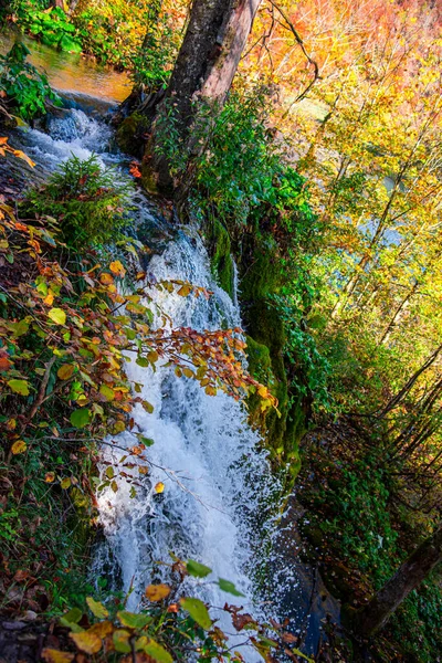 Prachtige Waterval Het Bos — Stockfoto