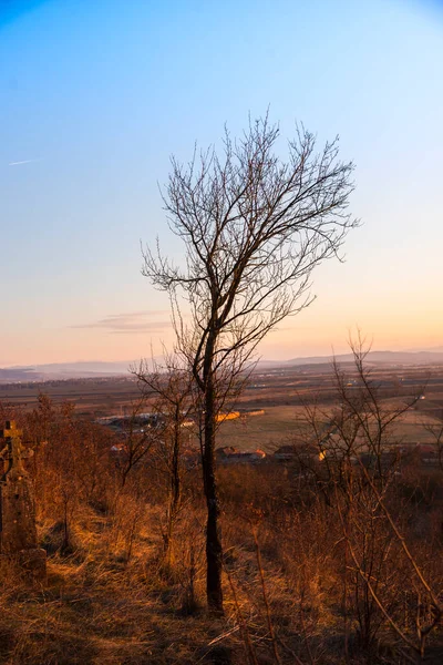 Solnedgång Öknen — Stockfoto