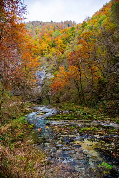 autumn landscape with mountain river