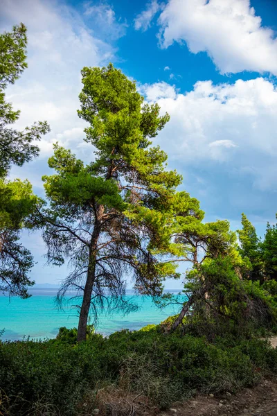 Paesaggio Marino Estate — Foto Stock