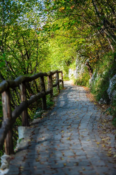 Plitvice Park Taki Manzara — Stok fotoğraf
