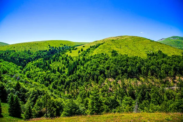 Zelená Louka Stromy Modrou Oblohou — Stock fotografie