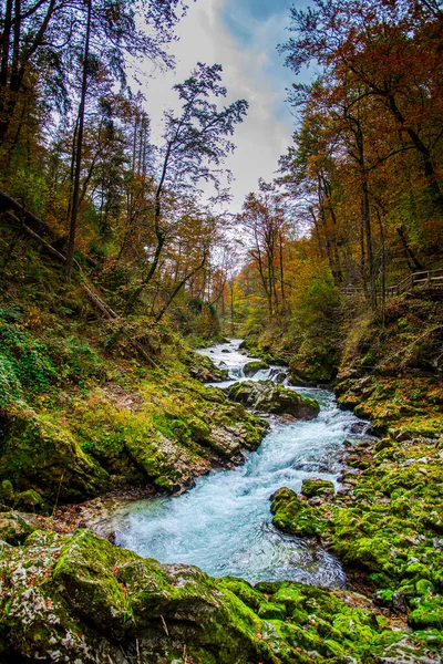 Karpat dağlarındaki dağ nehri
