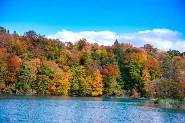 Krásná Podzimní Krajina Stromy Jezerem — Stock fotografie