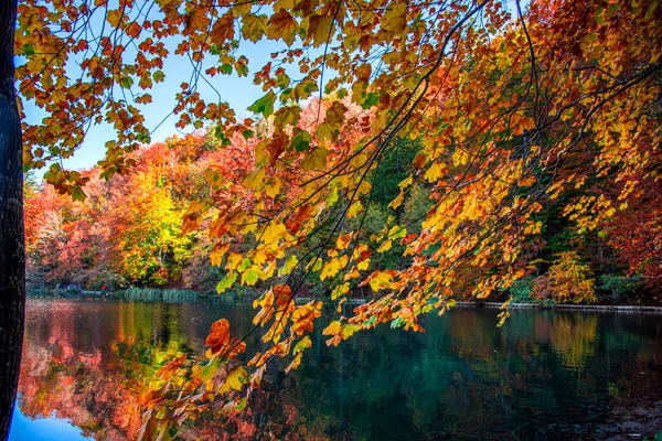 Красивый Осенний Пейзаж Отражением Воде — стоковое фото