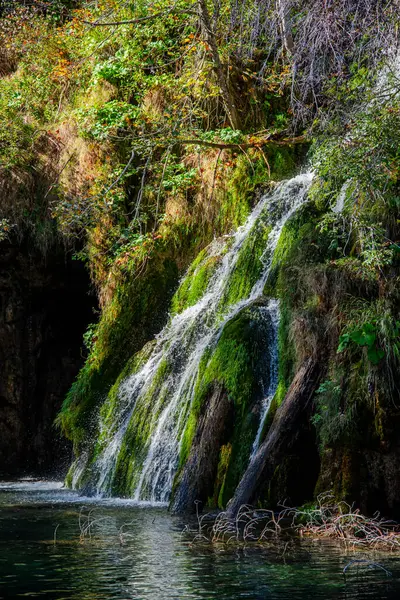 Gebirgsfluss Wald — Stockfoto