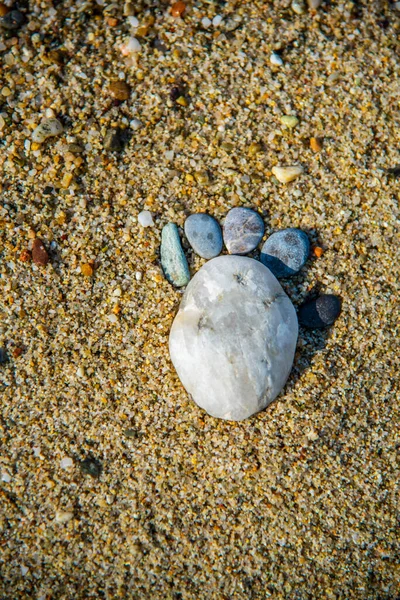 Kamienie Palcowe Plaży — Zdjęcie stockowe