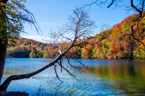 Hermoso Paisaje Otoñal Con Lago Árboles —  Fotos de Stock