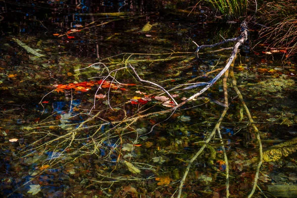 Fiume Selvaggio Montagna — Foto Stock