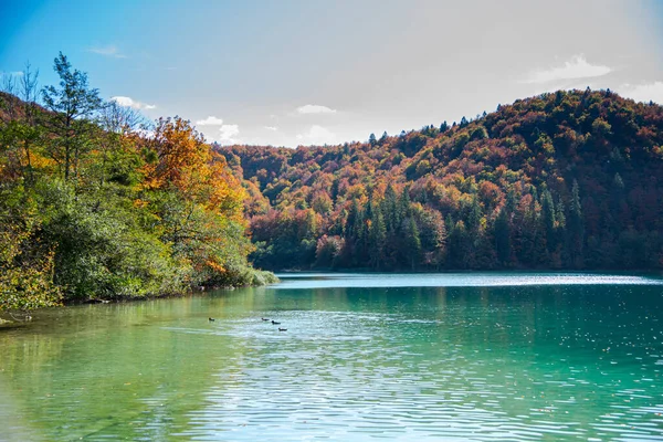 Vista Lago Plitvice Jezera —  Fotos de Stock