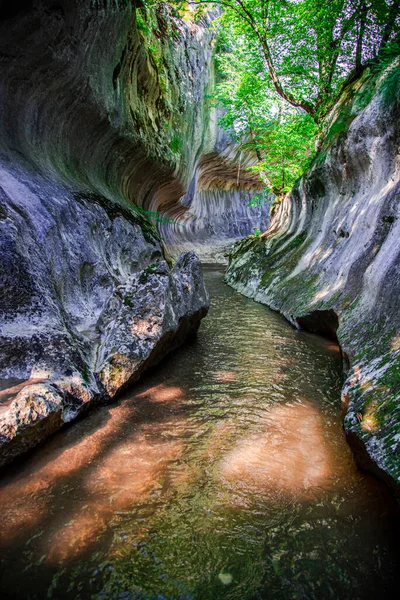 Dağlardaki vahşi nehir