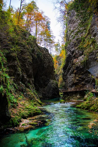 Úžasná Podzimní Krajina Přírody — Stock fotografie
