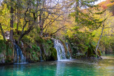 Sonbahar mevsiminde vahşi nehir manzarası