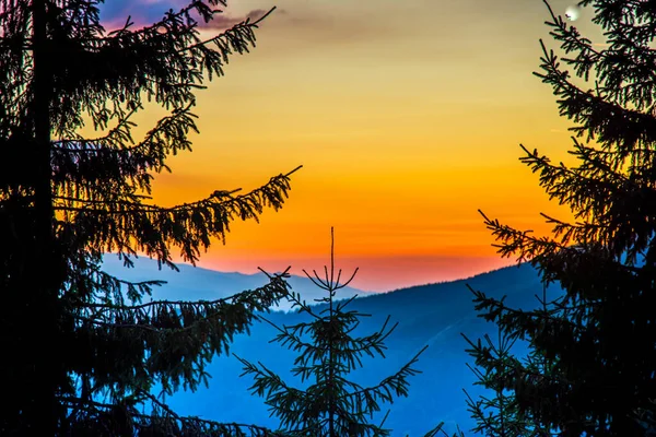 Silhouette Eines Baumes Mit Sonnenuntergang Den Bergen — Stockfoto