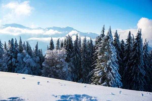 Paisaje Invernal Las Montañas — Foto de Stock