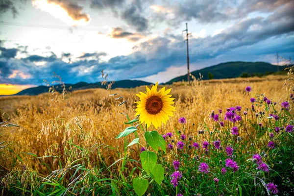 Gün batımında inanılmaz manzara