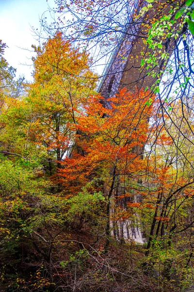 Amazing Autumn Nature Landscape — Stock Photo, Image
