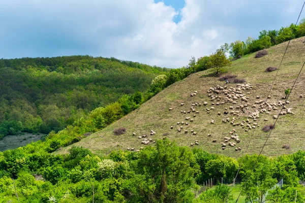 Frühlingslandschaft Auf Dem Hügel — Stockfoto