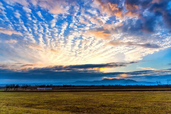 Sommerfeld Sonnenuntergang — Stockfoto