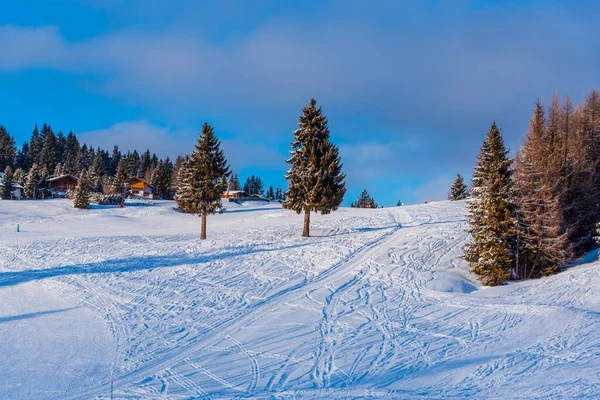Ski Slopes Carpathian Mountains Ukraine — Stock Photo, Image