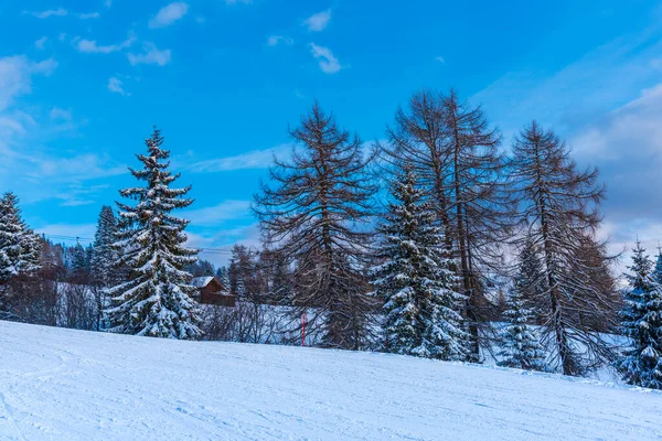 Laderas Invierno Las Montañas Dolomitas Italia —  Fotos de Stock