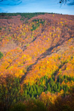 Renkli ağaçlar ve dağlarla dolu sonbahar manzarası
