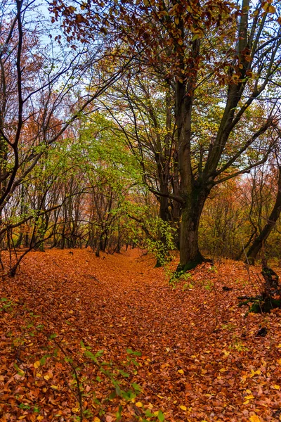 Лодка Море — стоковое фото